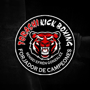 Escuela De Artes Marciales Torashi